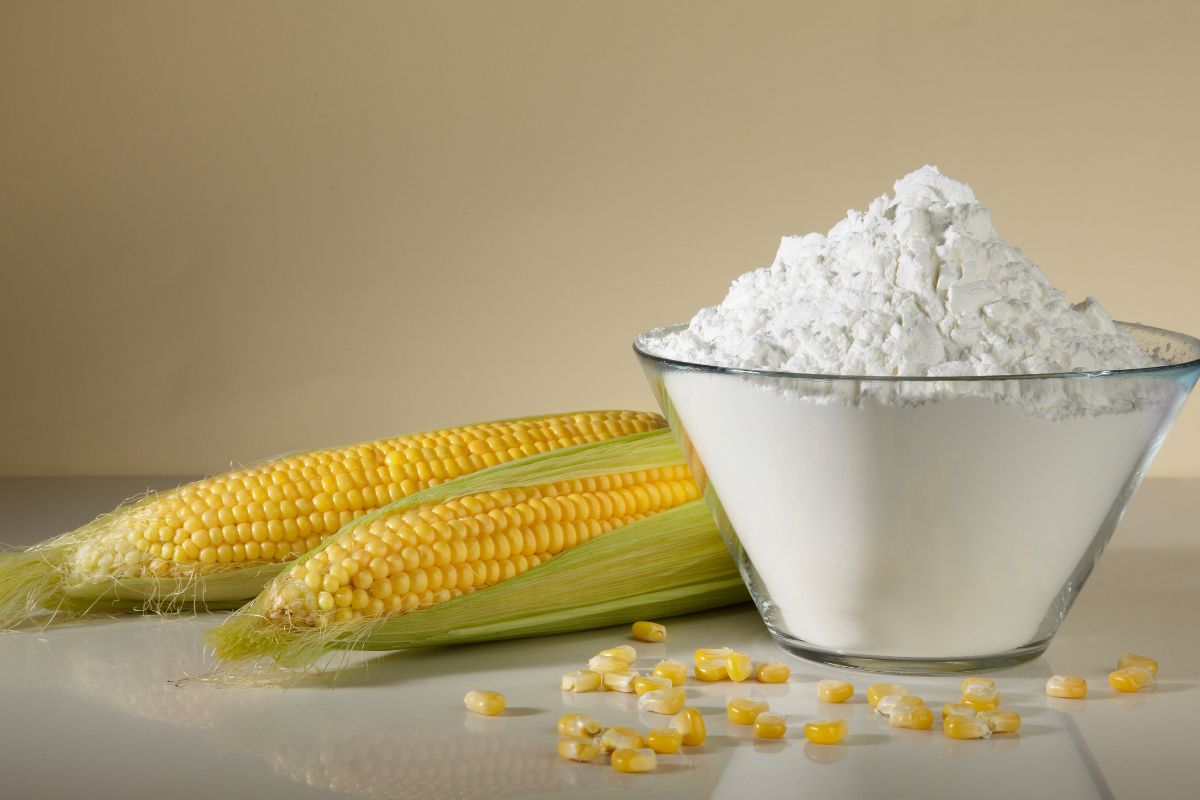 Como fazer amido de milho sem conservantes? Agora veja os ingredientes secretos Reprodução: Canva Como fazer amido de milho sem conservantes? Agora veja os ingredientes secretos Reprodução: Canva