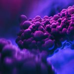 Brasil terá antiviral contra a varíola dos macacos, diz ministro; São Paulo lidera casos. Foto: Canva