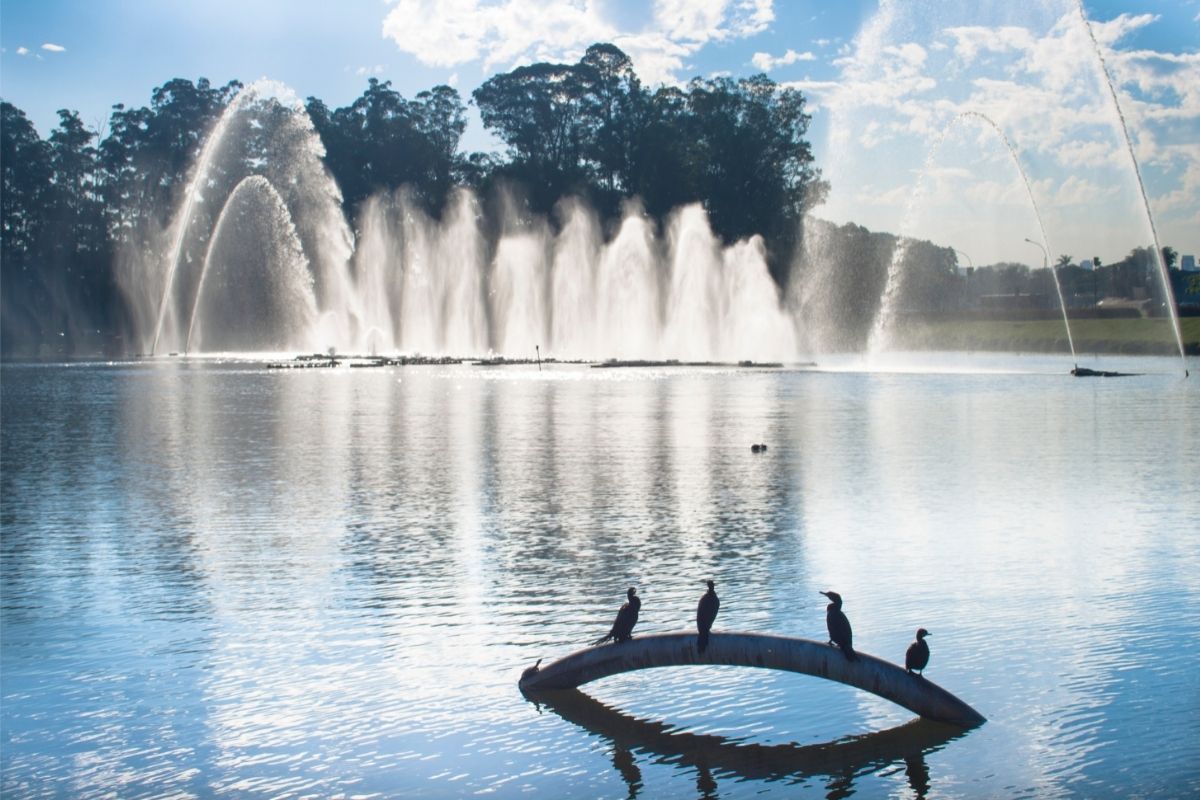 Confira 5 lugares para curtir em São Paulo durante esse final de semana. Foto: Canva Confira 5 lugares para curtir em São Paulo durante esse final de semana. Foto: Canva