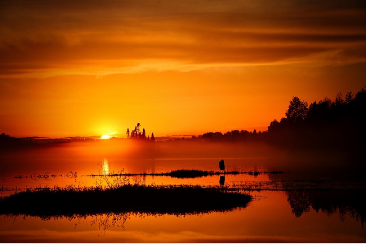 Pantanal Mato-Grossense (Reprodução Pixabay)