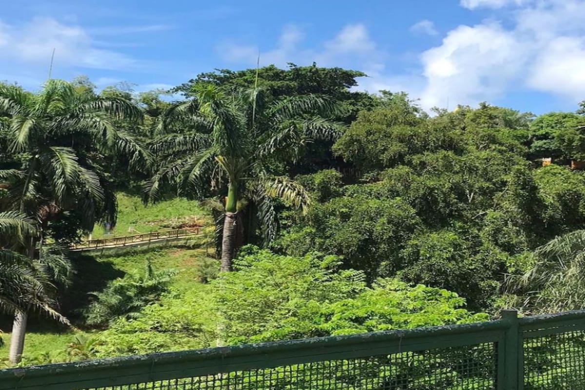 Zoológico (Reprodução Instagram)