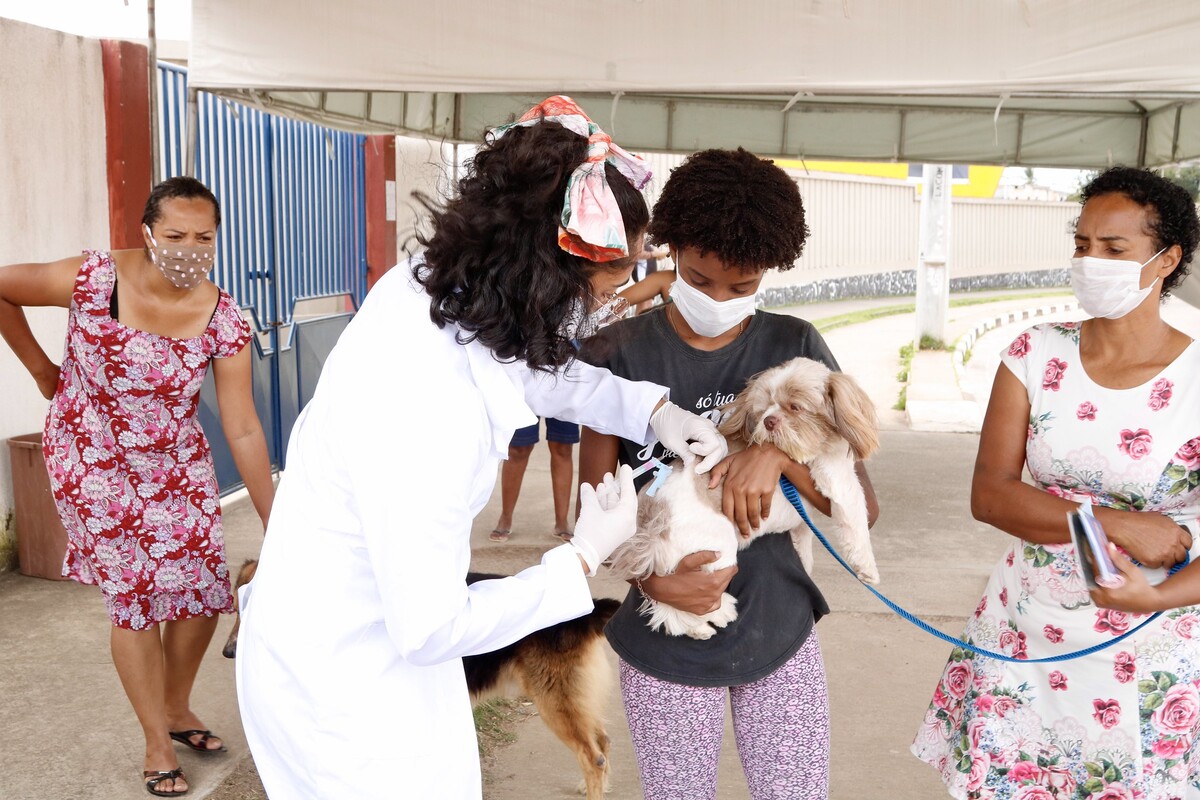 Resende irá vacinar animais de estimação de forma gratuita - Foto: Facebook