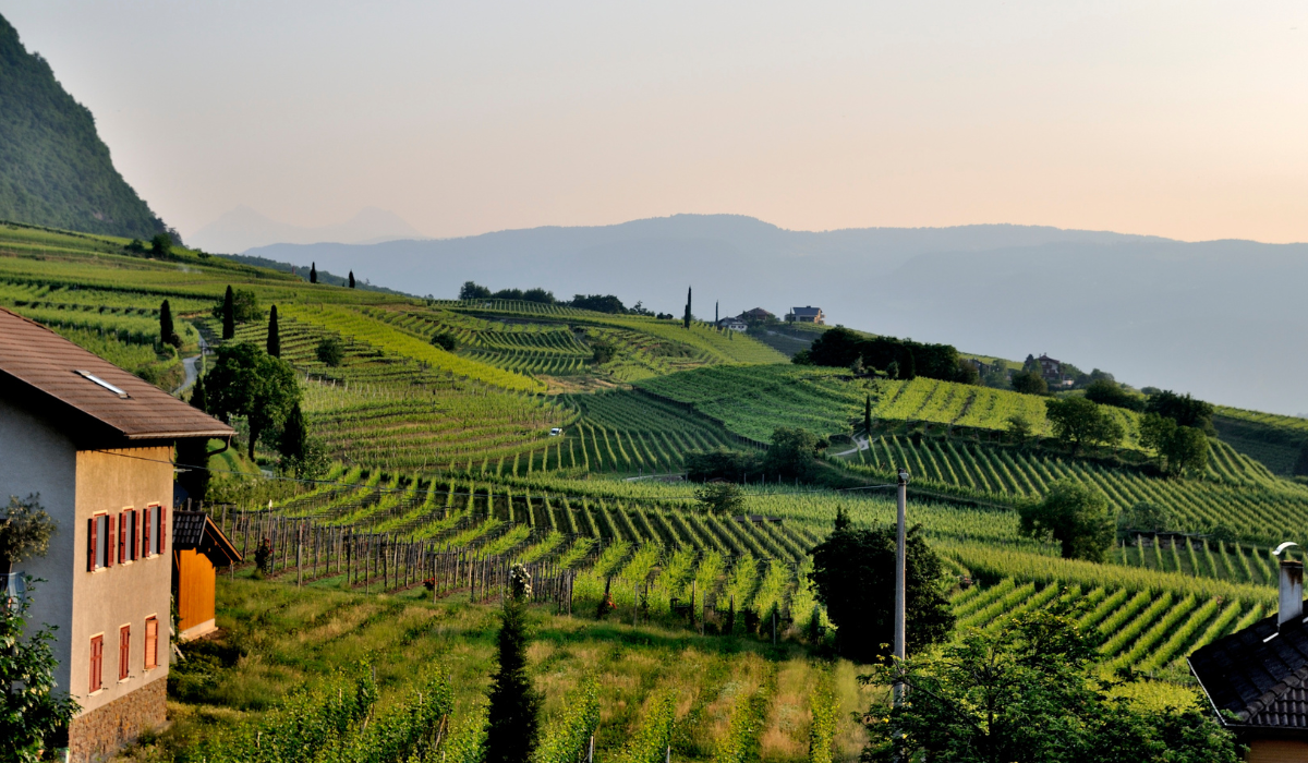 Agronegócio exporta US$ 14,76 em SP entre janeiro e agosto. Imagem: Canva