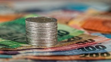 Mercado de capitais: empresas são obrigadas a pagar dividendos? Conheça seus direitos - Reprodução Pixabay