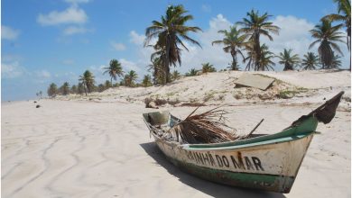 3 dicas de economia, que lhe renderia uma viagem todo ano para o Nordeste no Caribe Brasileiro, confira. Foto: Canva