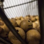 Resultado da Lotomania: concurso 2455 acumula e prêmio vai a R$ 5,3 milhões; veja os números. Foto: Canva