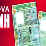 Nova CNH sou obrigado imediatamente a substituir a versão antigo Confira - Créditos da imagem Autoesporte