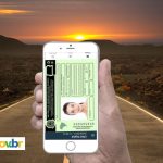 CNH DIGITAL: veja o passo a passo para obter a sua - Reprodução Canva