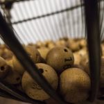 Lotomania tem 1 ganhador no concurso 2396 e leva R$ 2,799 milhões; veja os números sorteados