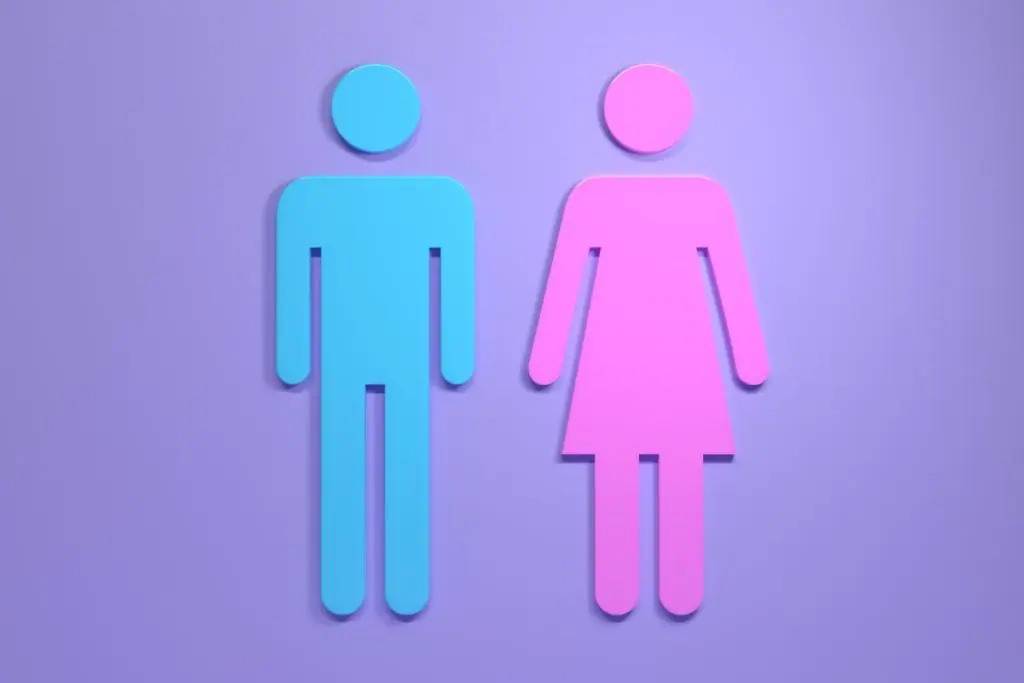 Eleições: Lula tem 51% das intenções de votos entre as mulheres, contra 41% de Bolsonaro, diz Ipec. Foto: Canva