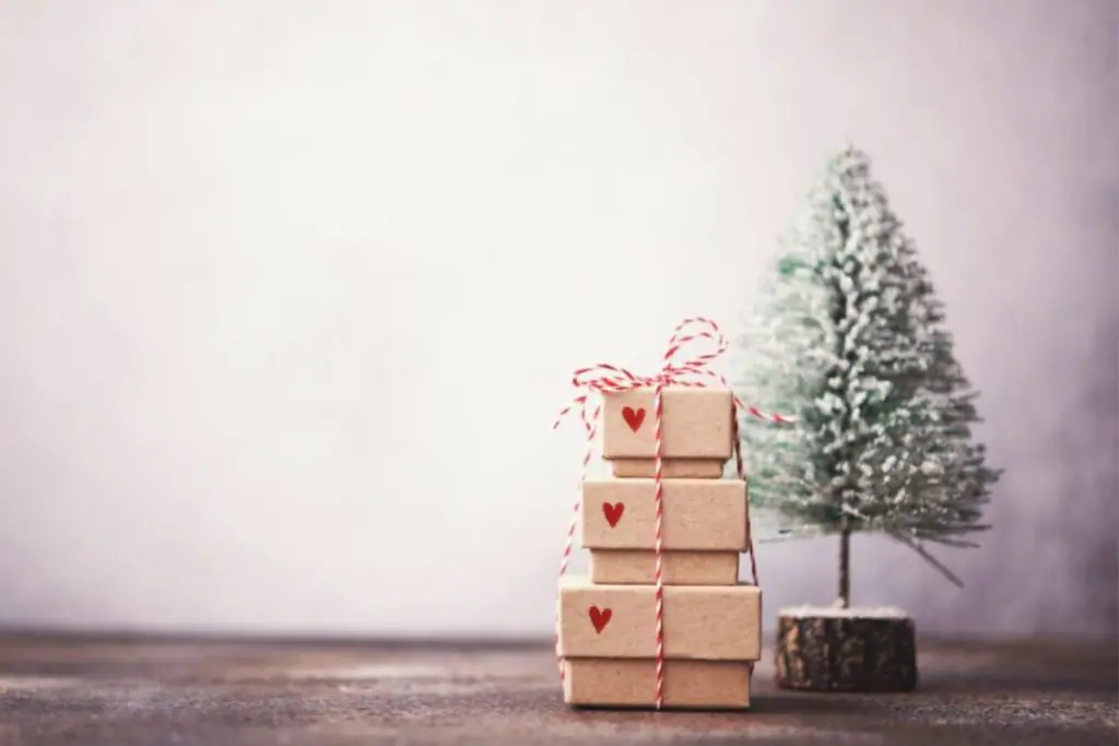 Fim de anos está chegando: confira as dicas de um especialista para evitar dívidas durante as compras. Fonte: Canva