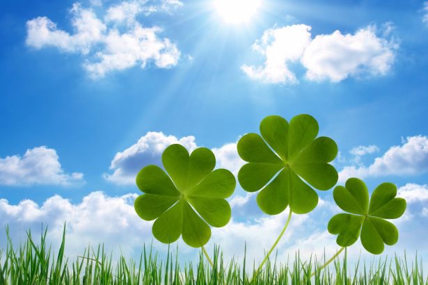 Resultado do Dia de Sorte 1017: aposta de Jaú fatura R$ 3 milhões. Foto: Canva