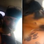 Border Collie - YouTube - Imagem Reprodução Instagram - diariosp.com.br Border Collie - YouTube - Imagem Reprodução Instagram