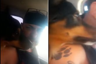 Border Collie - YouTube - Imagem Reprodução Instagram