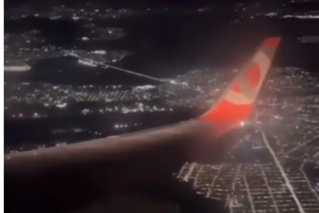 Caranguejo no aeroporto: vídeo viraliza com avião que precisa esperar limpeza da pista. Foto: Reprodução