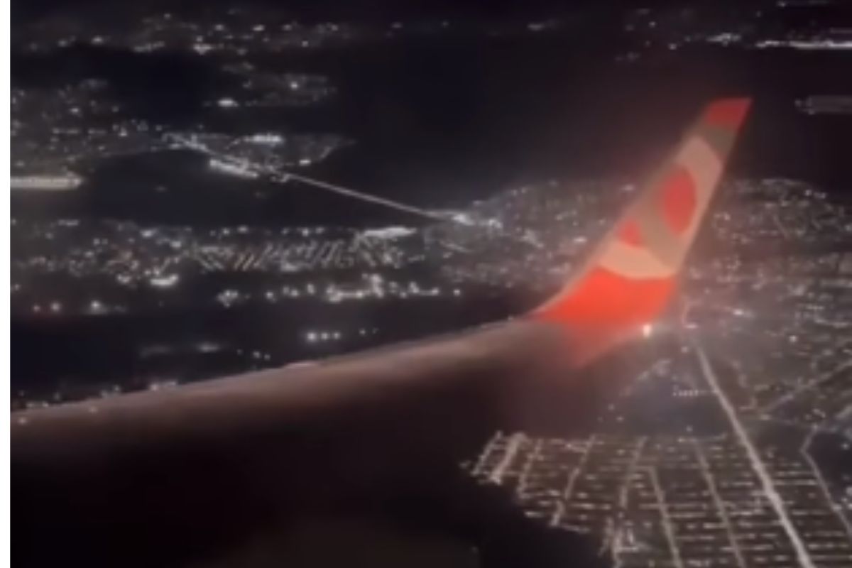 Caranguejo no aeroporto: vídeo viraliza com avião que precisa esperar limpeza da pista. Foto: Reprodução