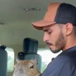 Assista ao vídeo: Filó capivara é devolvida para Agenor por determinação de um juiz, população comemora. Foto: Redes sociais