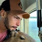 Filó volta para a natureza e comove web; vaquinha ajuda Agenor Tupinambá a pagar multa. Foto: Redes sociais