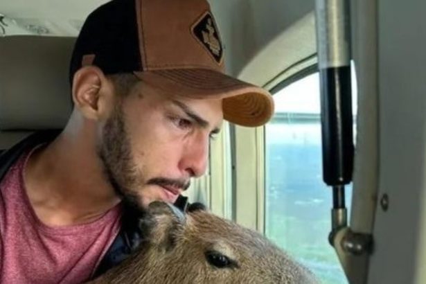 Filó volta para a natureza e comove web; vaquinha ajuda Agenor Tupinambá a pagar multa. Foto: Redes sociais