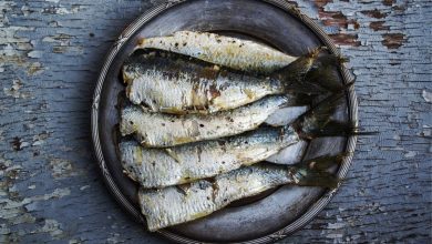 Torta de sardinha para o final de semana? Confira essa dica exclusiva que o chef ensinou e se surpreenda. Foto: Pixabay