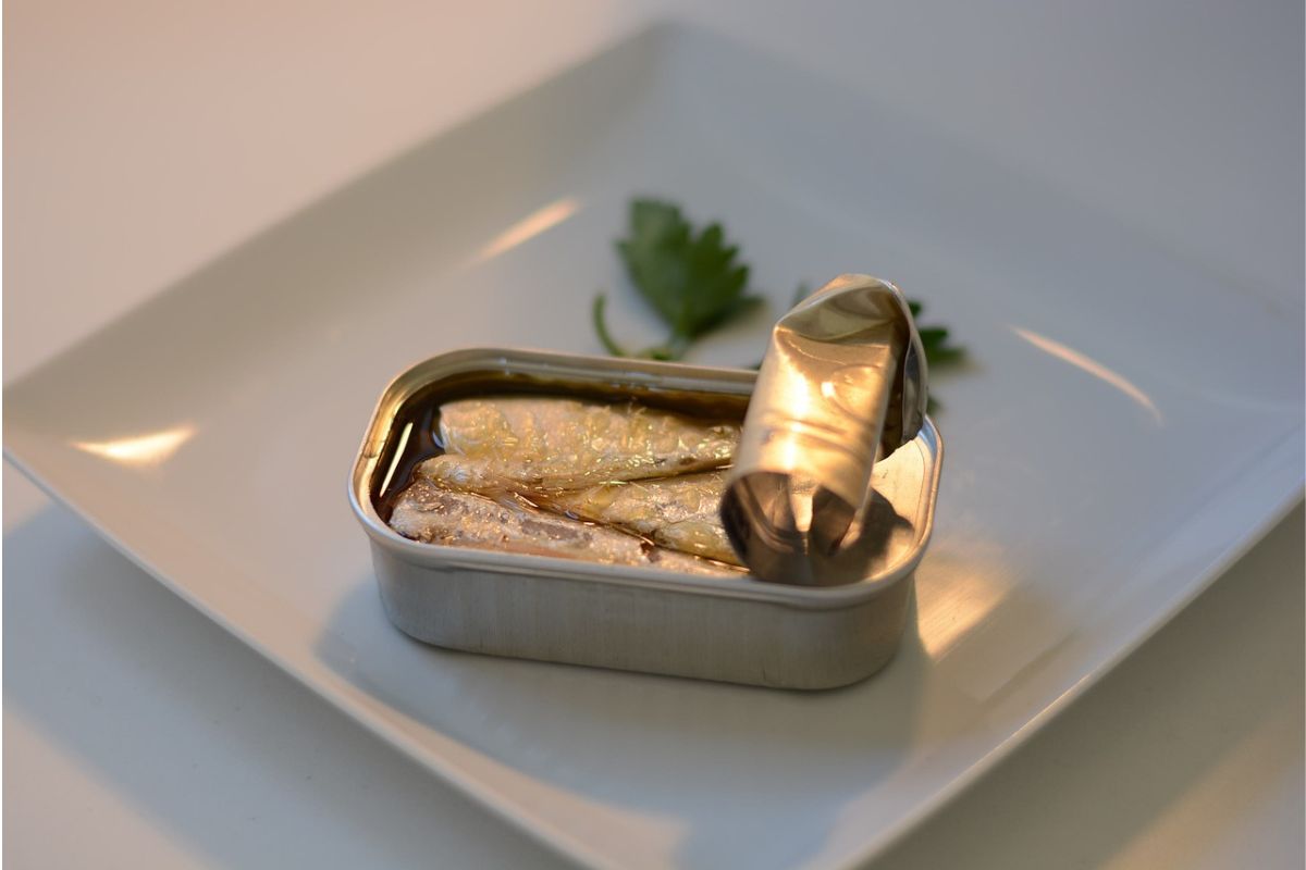 Torta de sardinha para o final de semana? Confira essa dica exclusiva que o chef ensinou e se surpreenda. Foto: Pixabay