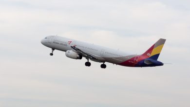 Passageiro quase causa tragédia em avião na Coreia do Sul; confira o que aconteceu. Foto: Divulgação