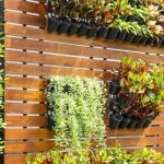Dê vida ao seu lar com um jardim vertical de pallet: veja as melhores ideias!