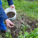 Fertilizante - Foto: CANVA