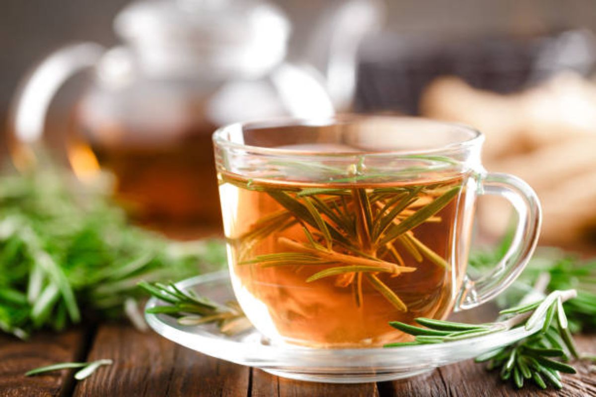 Descubra por que o chá de alecrim é a bebida mais saudável que você vai experimentar