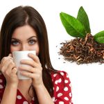 Cultive sua própria xícara de bem-estar: aprenda passo a passo como cultivar chá-verde e desfrute de uma experiência única de sabor e vitalidade