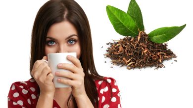 Cultive sua própria xícara de bem-estar: aprenda passo a passo como cultivar chá-verde e desfrute de uma experiência única de sabor e vitalidade