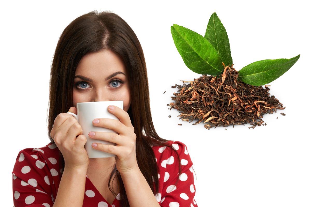 Cultive sua própria xícara de bem-estar: aprenda passo a passo como cultivar chá-verde e desfrute de uma experiência única de sabor e vitalidade