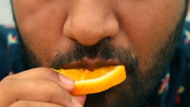 Chupar laranja todo dia: os benefícios de ter uma laranjeira em casa para sua saúde e paladar