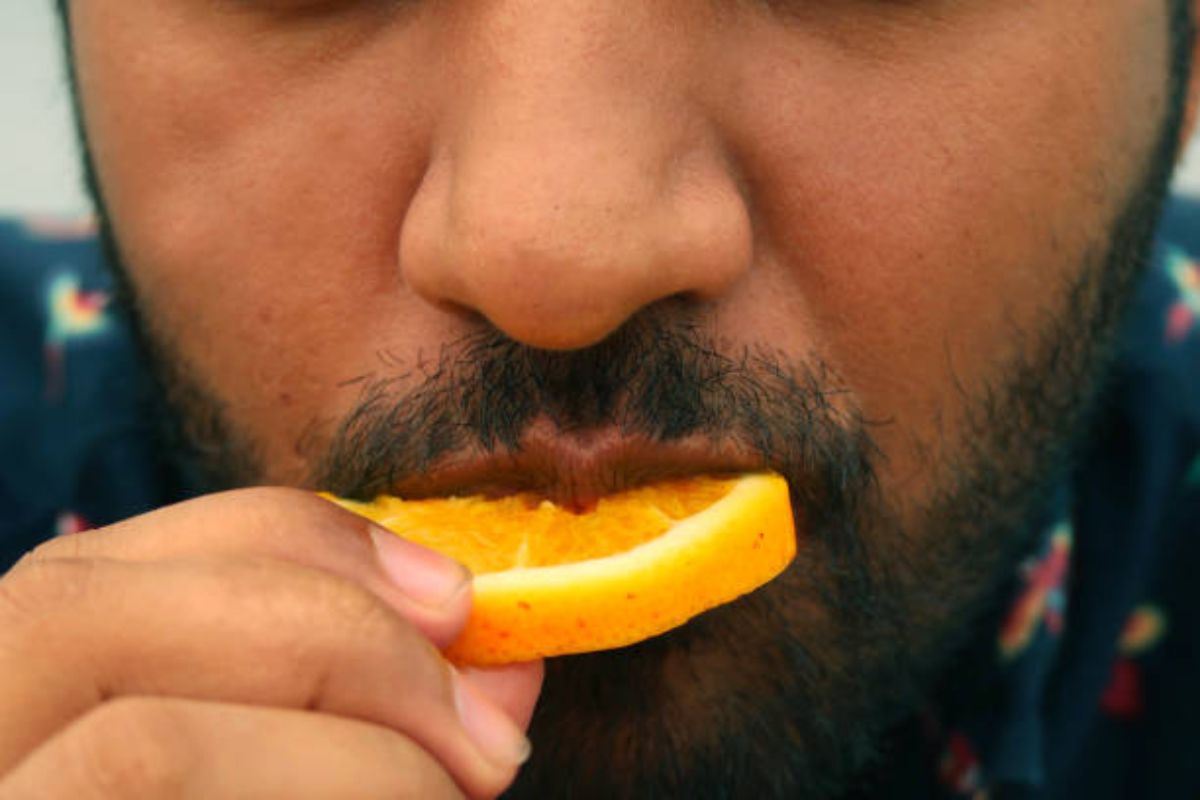 Chupar laranja todo dia: os benefícios de ter uma laranjeira em casa para sua saúde e paladar