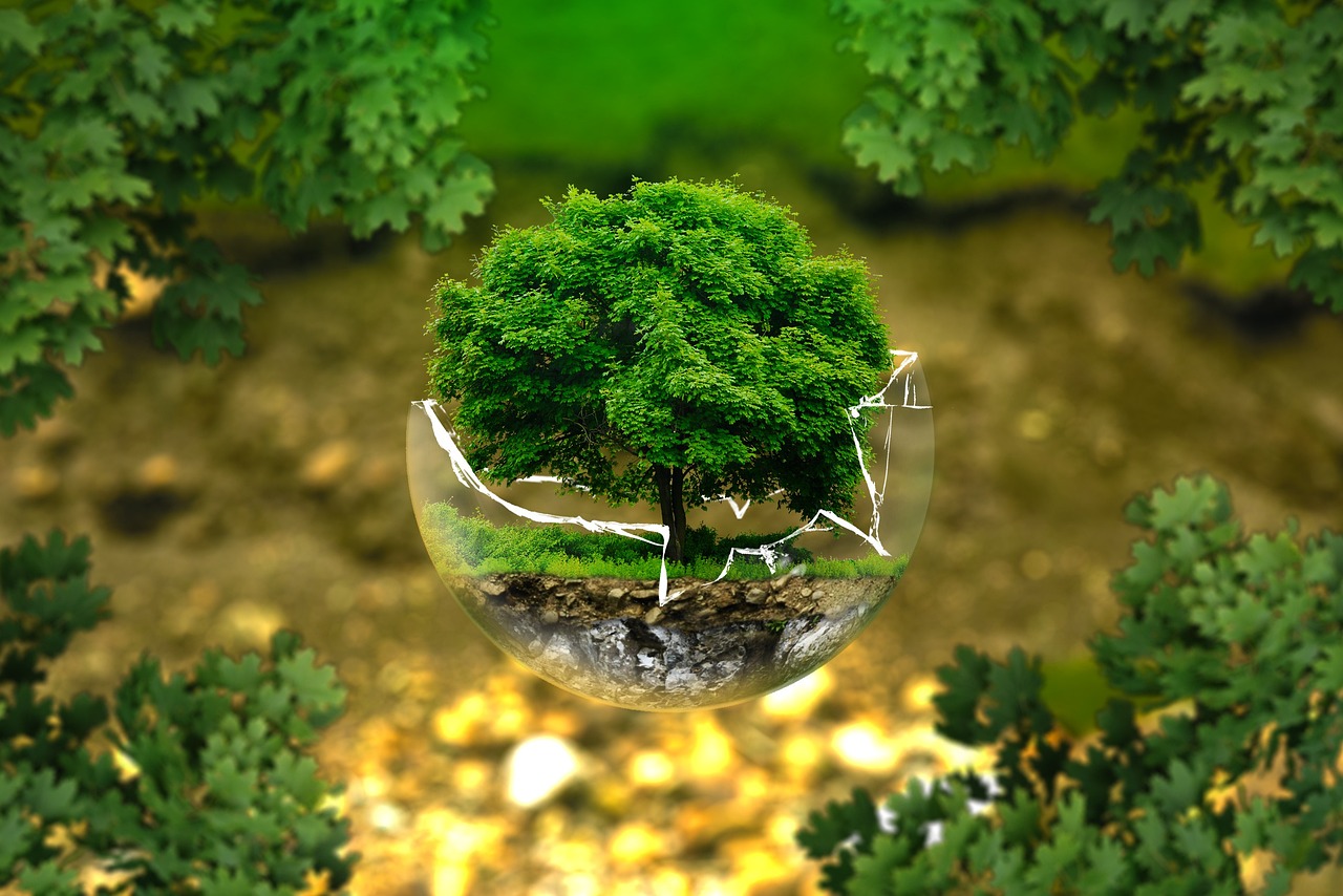 Dia Mundial do Meio Ambiente - uma Reflexão Atual. Fonte: Pixabay