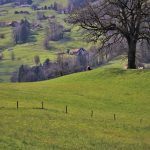 Turismo regional ganha força no inteiro do país. Foto: Pixabay