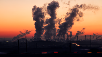 Impacto ambiental obriga empresas a criarem alternativas na produção. Foto: Pixabay