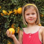 O segredo das laranjas caseiras: descubra como cultivar sua própria laranjeira e saborear frutas deliciosas diretamente do seu jardim