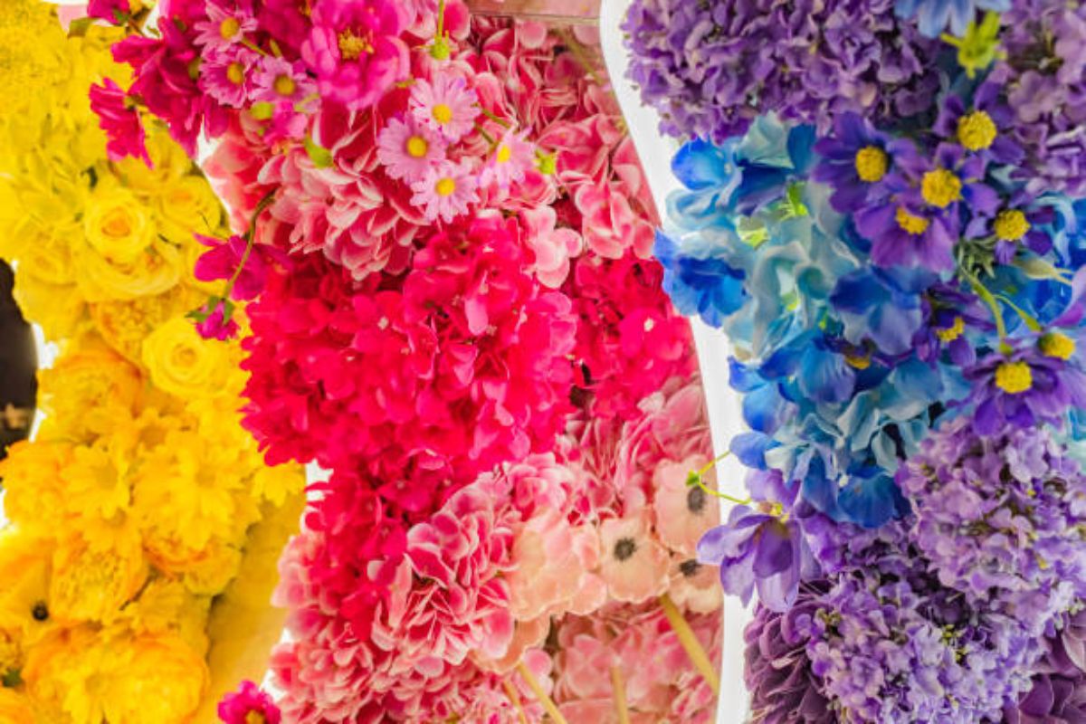 Arte floral: Descubra os segredos para mudar a cor das hortênsias e transformar sua casa em um jardim vibrante