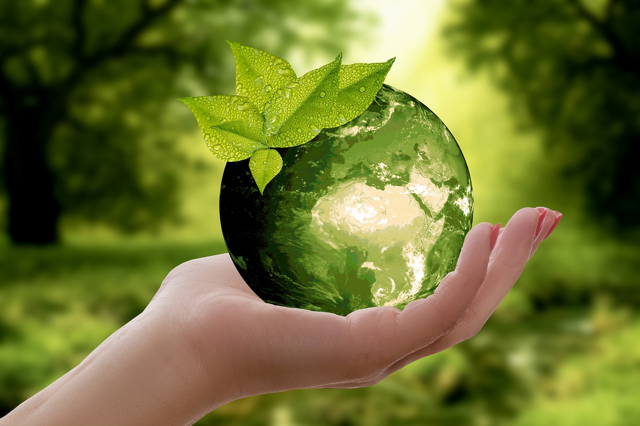 Sustentabilidade, algo essencial para as pequenas empresas; entenda. Foto: Pixabay