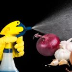 Proteja suas plantas de forma natural: conheça a receita caseira de pesticida com alho e cebola