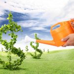 Descubra o poder das plantas para atrair dinheiro e sucesso financeiro