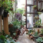 Transforme seu quintal sem gastar muito: dicas infalíveis para criar um espaço belo e econômico