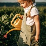 Cuide das suas plantas como um especialista: descubra os erros que podem arruinar sua irrigação