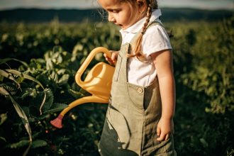 Cuide das suas plantas como um especialista: descubra os erros que podem arruinar sua irrigação