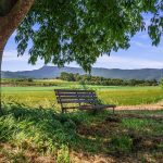 Turismo Rural: A importância da preservação ambiental nas pequenas cidades. Foto: Pixabay