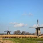 Agricultura sustentável: desafios dos tempos modernos. Foto: Pixabay