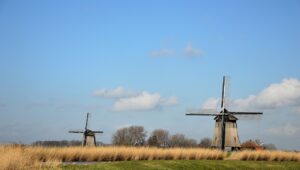 Agricultura sustentável: desafios dos tempos modernos. Foto: Pixabay