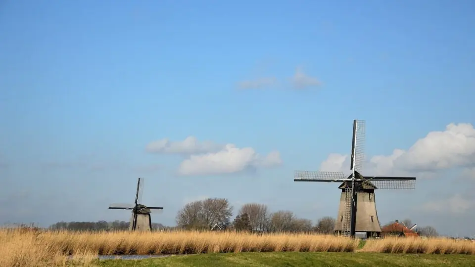 Agricultura sustentável: desafios dos tempos modernos. Foto: Pixabay