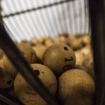 Resultado da Lotofácil 3308: prêmio acumula e vai a R$ 5 mi. Foto: Pixabay